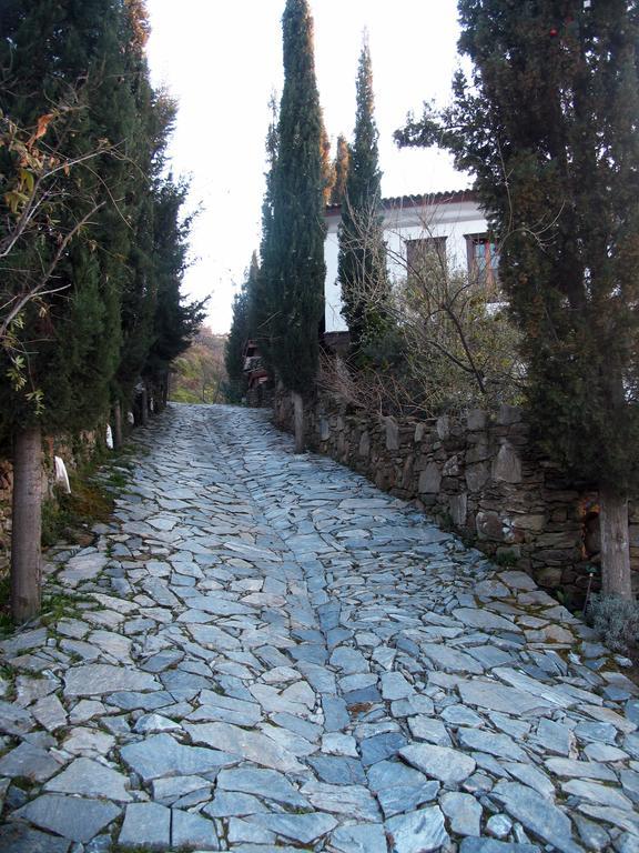 Hotel Nisanyan Selçuk