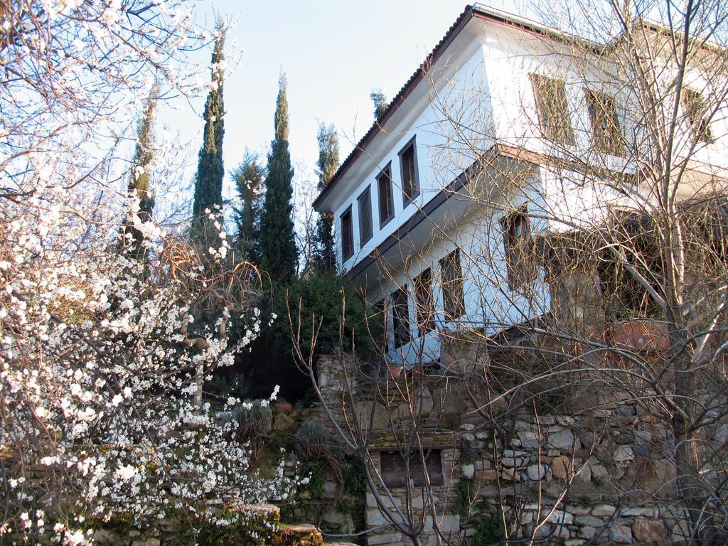 Nisanyan 3* Selçuk