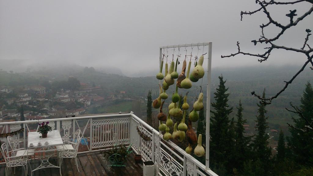 Nisanyan Selçuk