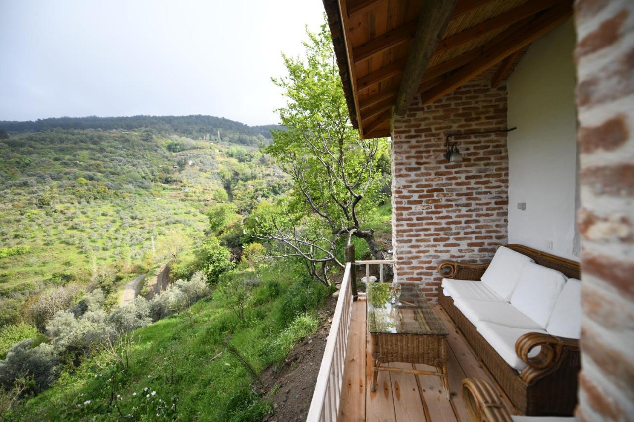 Hotel Nisanyan Selçuk