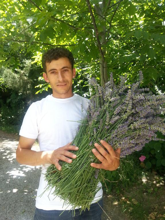 Nisanyan 3* Сельчук